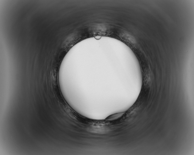 X0000086330661200704202042