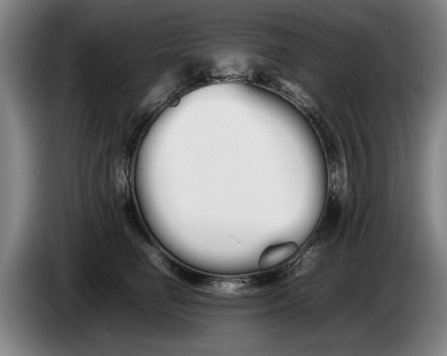 X0000086330662200704202042