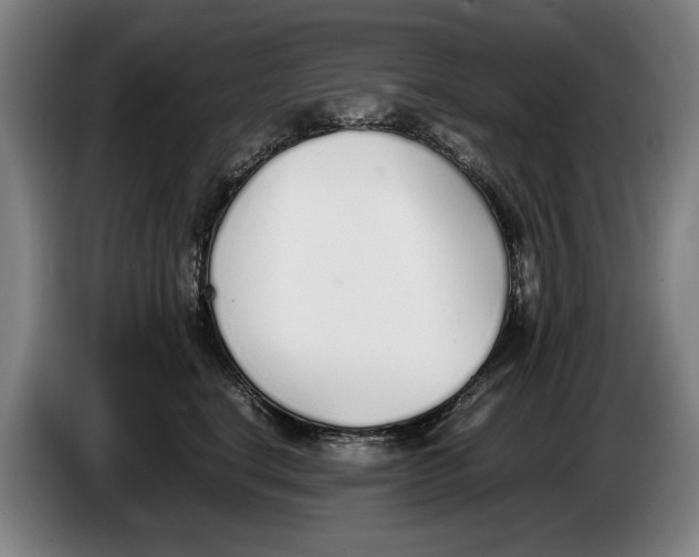 X0000086330664200704202042