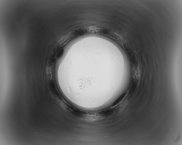 X0000086330666200704202043