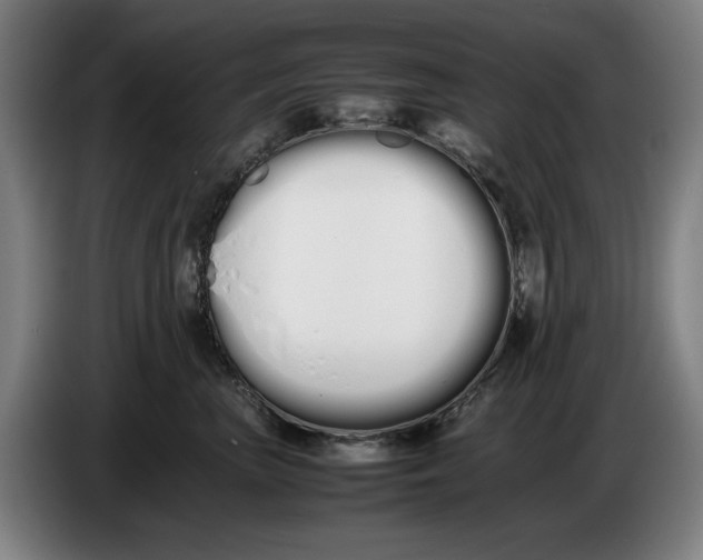 X0000086330667200704202043