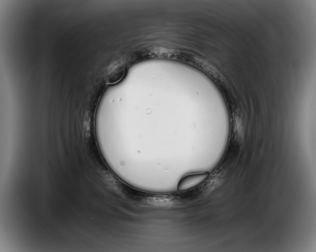 X0000086330668200704202043