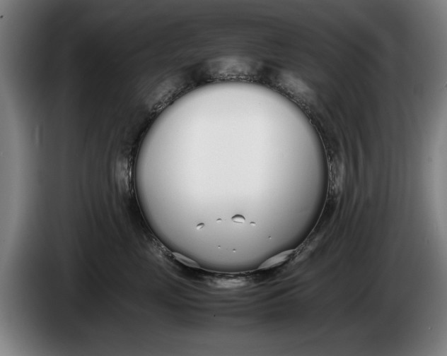 X0000086330669200704202043