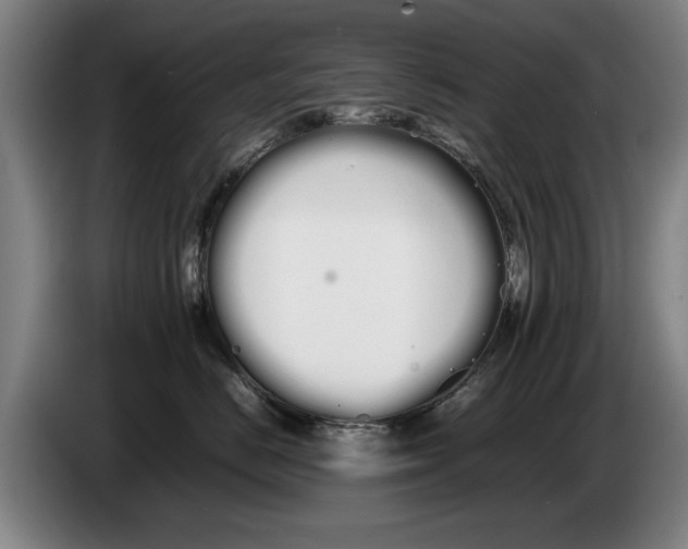 X0000086330670200704202043