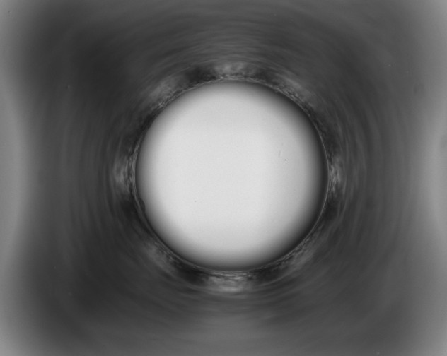 X0000086330671200704202043