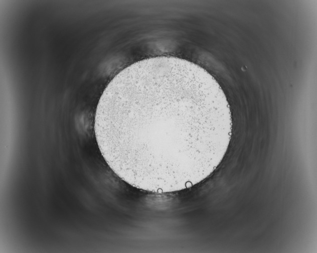 X0000086330672200704202043