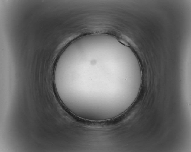 X0000086330673200704202042