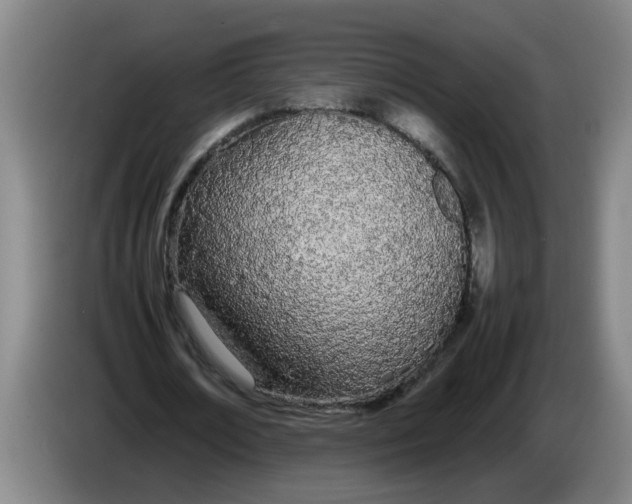 X0000086330674200704202042