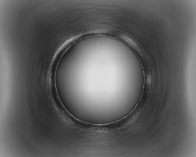 X0000086330676200704202042