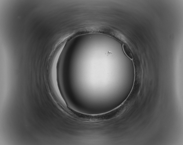 X0000086330677200704202042