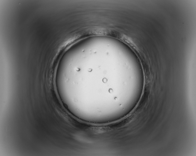 X0000086330679200704202042