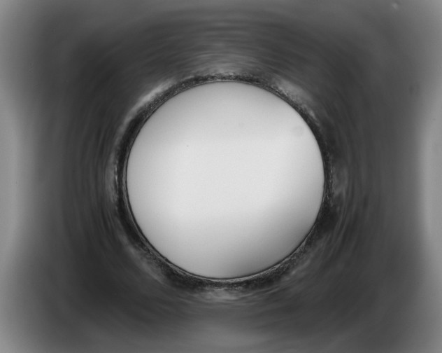 X0000086330680200704202042