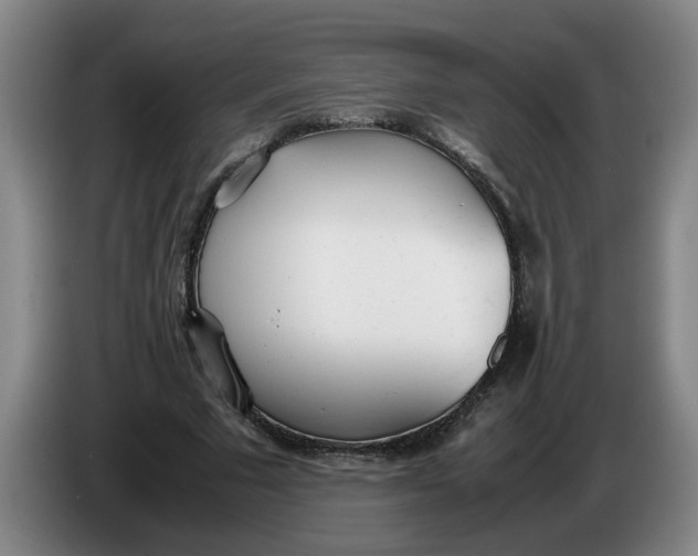 X0000086330681200704202042