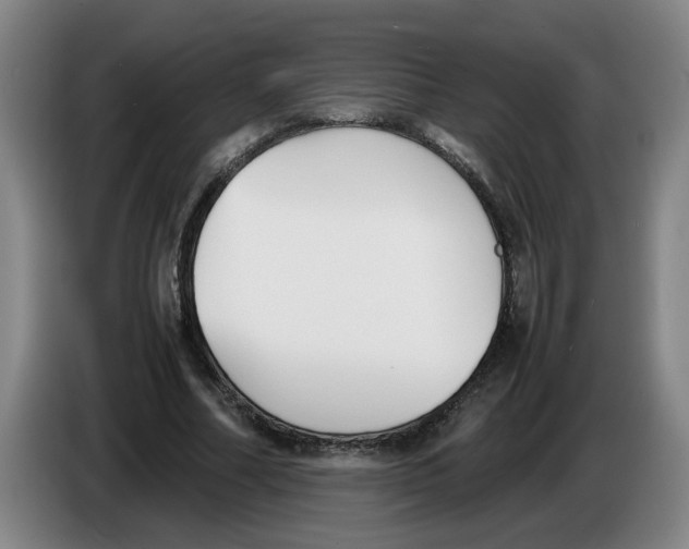 X0000086330682200704202042