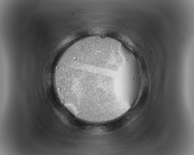 X0000086330683200704202042