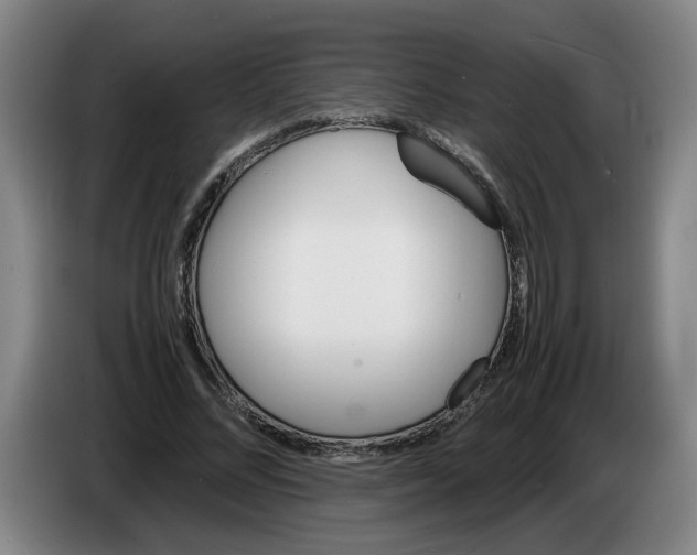 X0000086330684200704202042