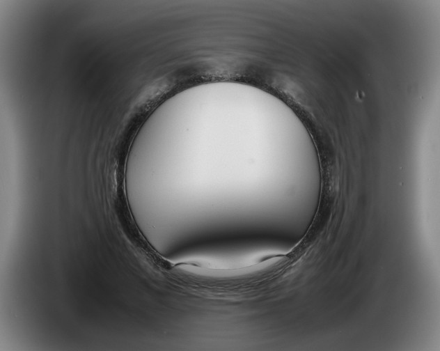 X0000086330685200704202042