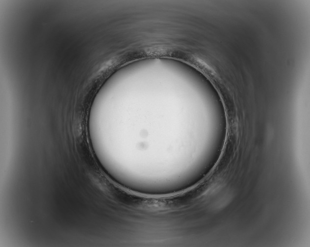 X0000086330687200704202042