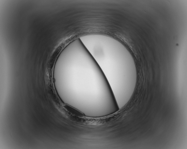 X0000086330688200704202042