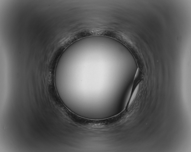 X0000086330689200704202042