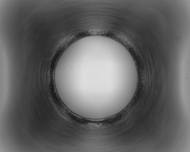 X0000086330690200704202042