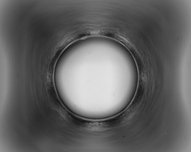 X0000086330691200704202042