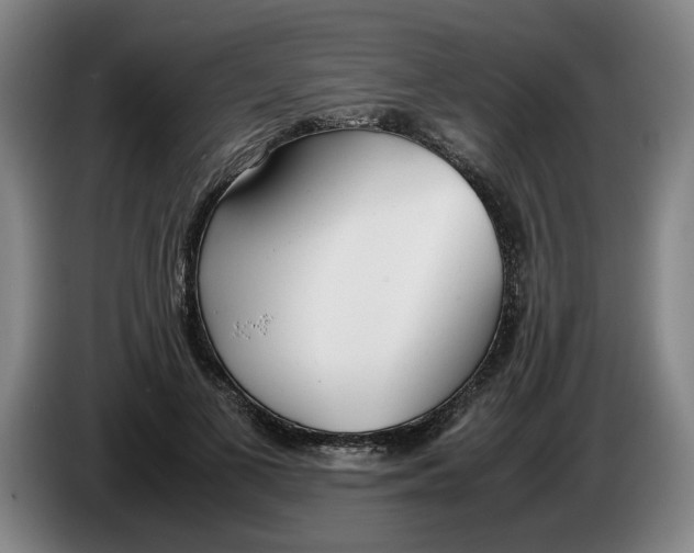 X0000086330693200704202042