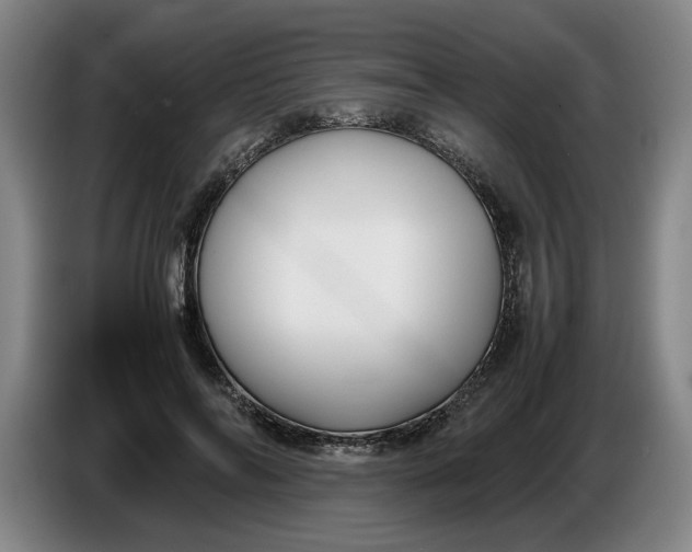 X0000086330694200704202042