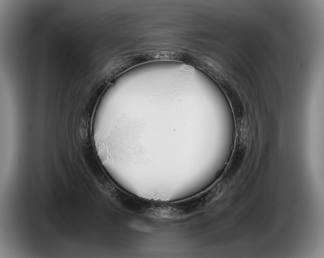 X0000086330695200704202042