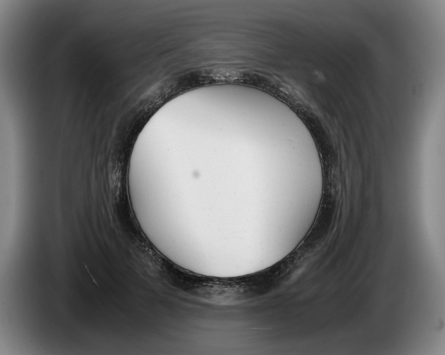 X0000086330697200704202042