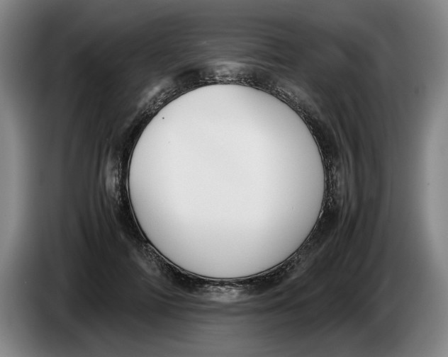 X0000086330698200704202042