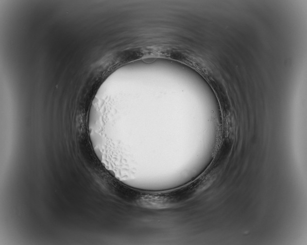 X0000086330699200704202041