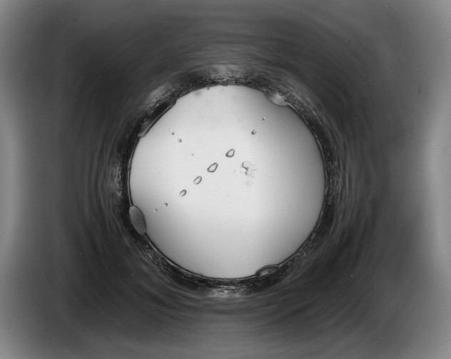 X0000086330700200704202041