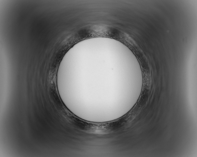 X0000086330701200704202041