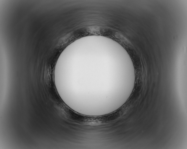 X0000086330702200704202041