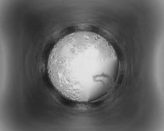 X0000086330703200704202041