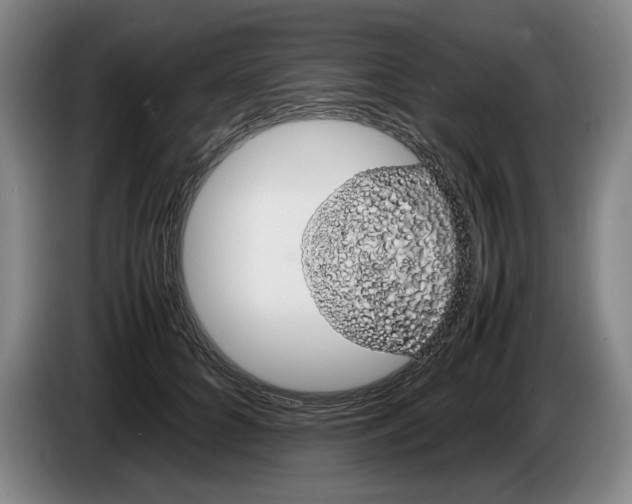 X0000086330704200704202041