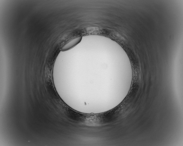 X0000086330705200704202041