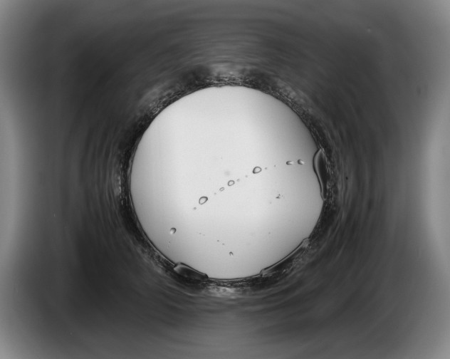 X0000086330706200704202041