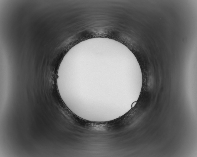 X0000086330710200704202041