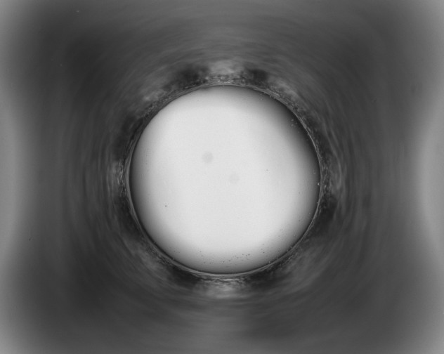 X0000086330711200704202041