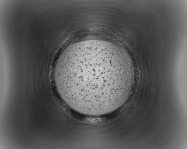 X0000086330712200704202041