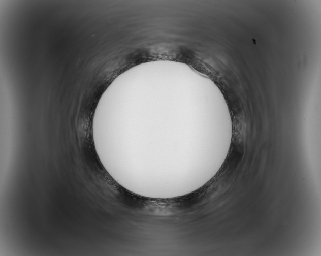 X0000086330713200704202041