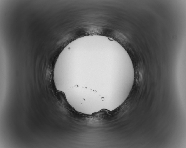 X0000086330714200704202041