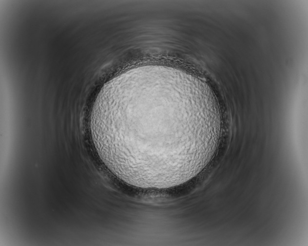 X0000086330716200704202041