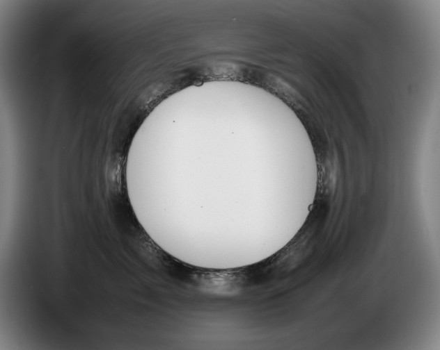 X0000086330717200704202041