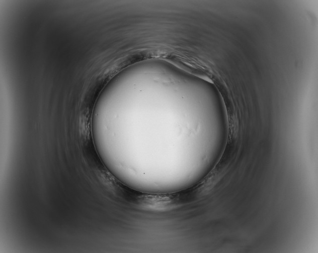 X0000086330719200704202041