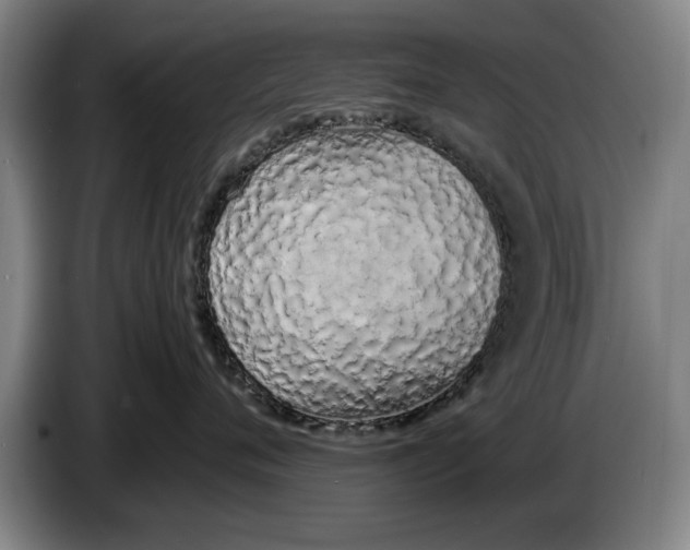 X0000086330720200704202041