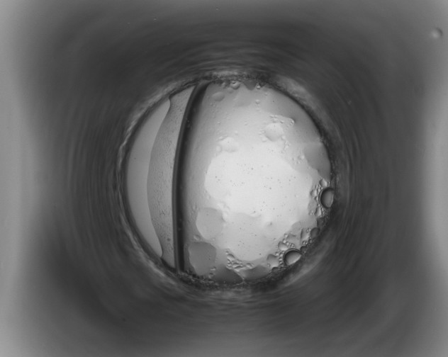 X0000086330721200704202041