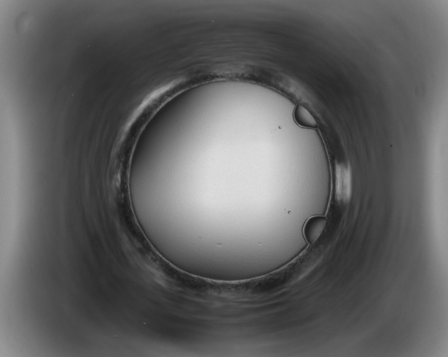 X0000086330723200704202041